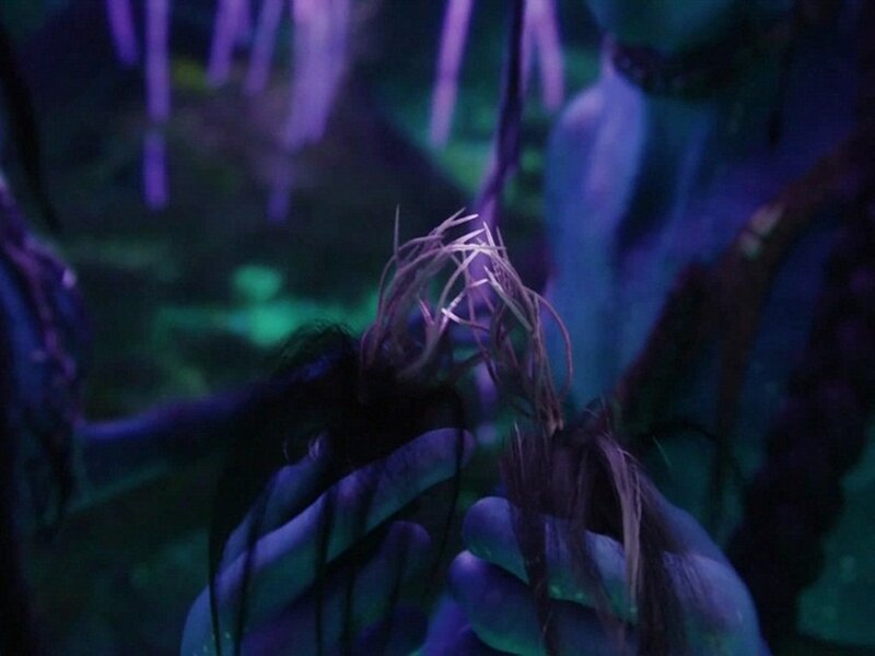 Blue-skinned Hands Holding Hair