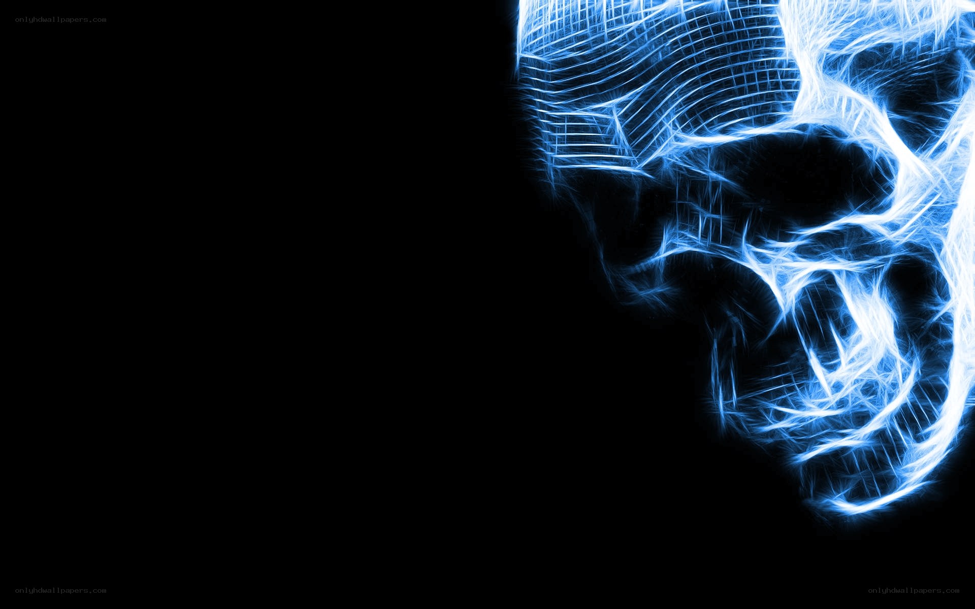 blue skull fractal art