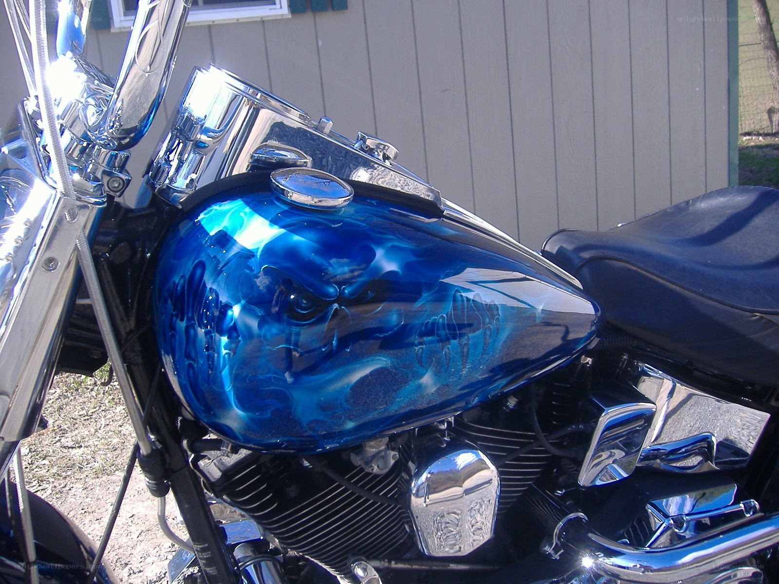 Blue skull motorcycle tank