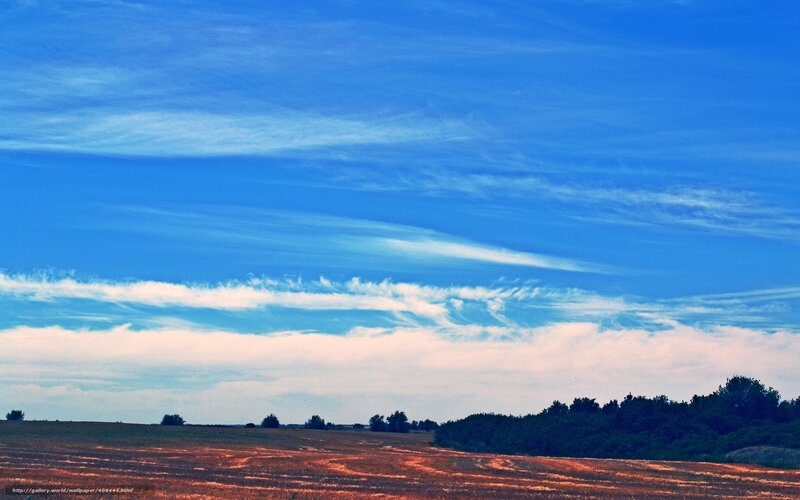 Blue sky over a harvested field