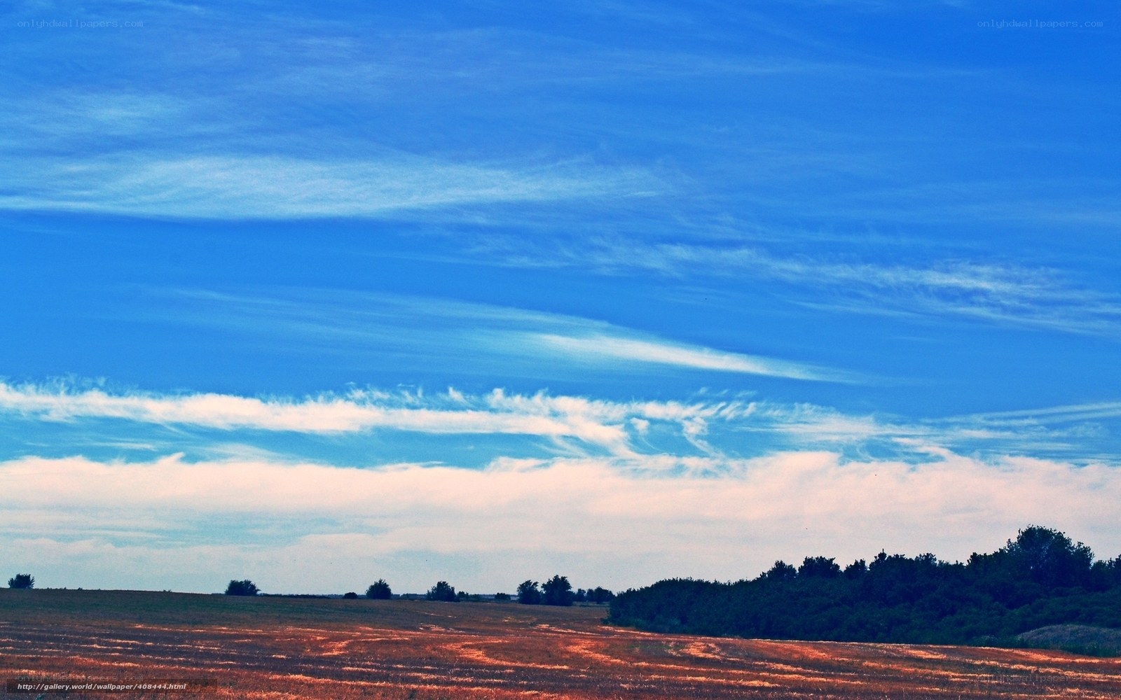 Blue sky over a harvested field
