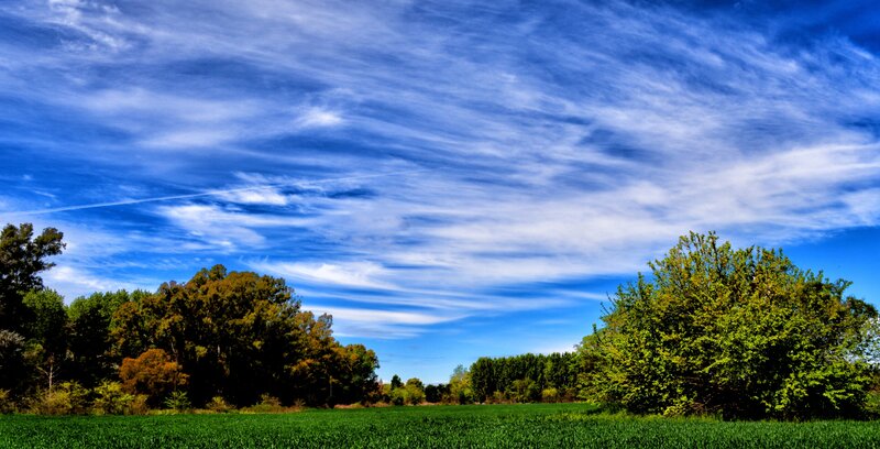 Blue sky over green field