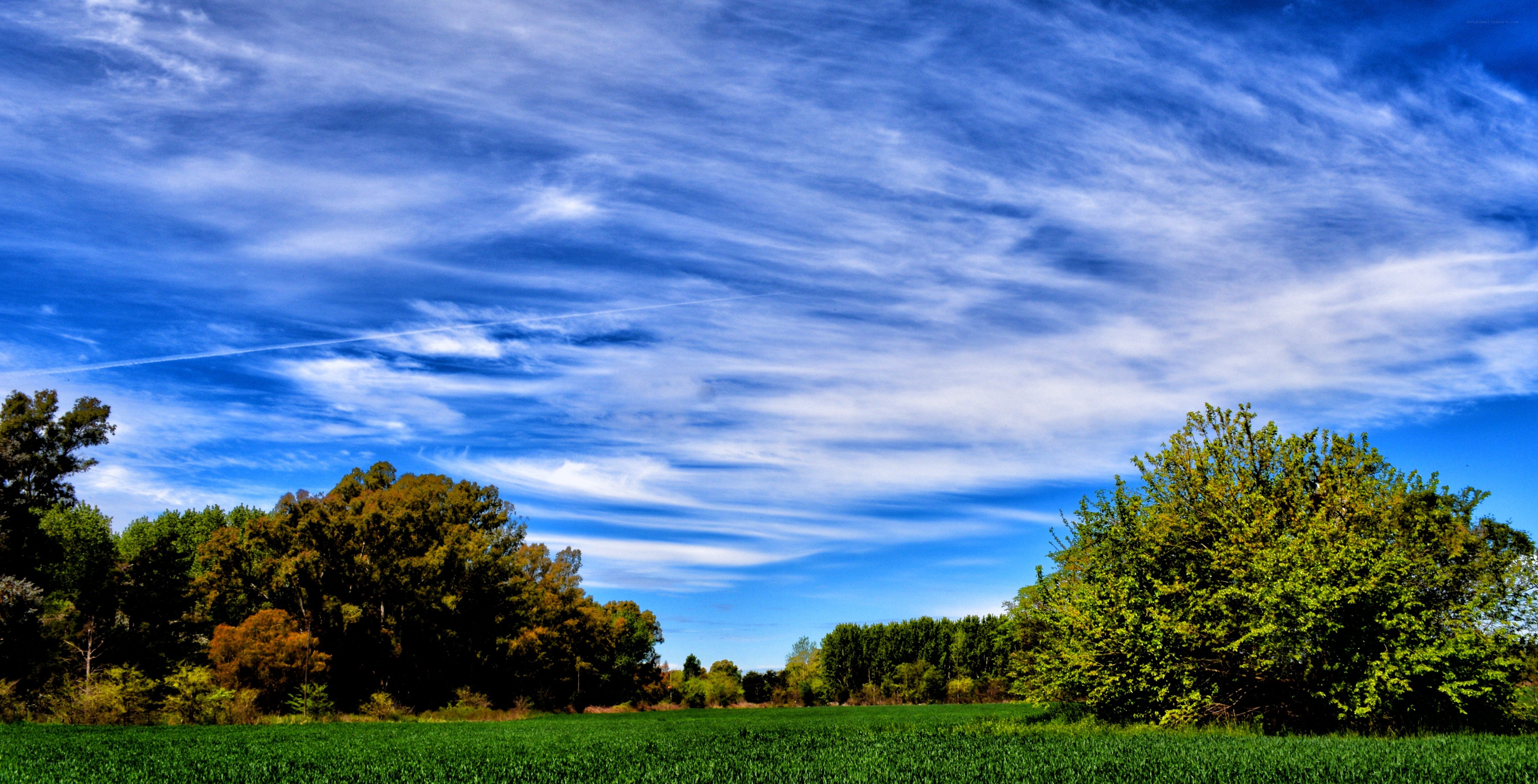 Blue sky over green field