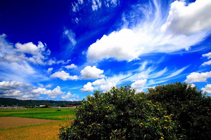 Blue sky over green fields