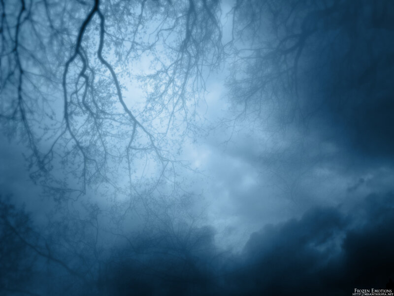 blue sky through bare branches