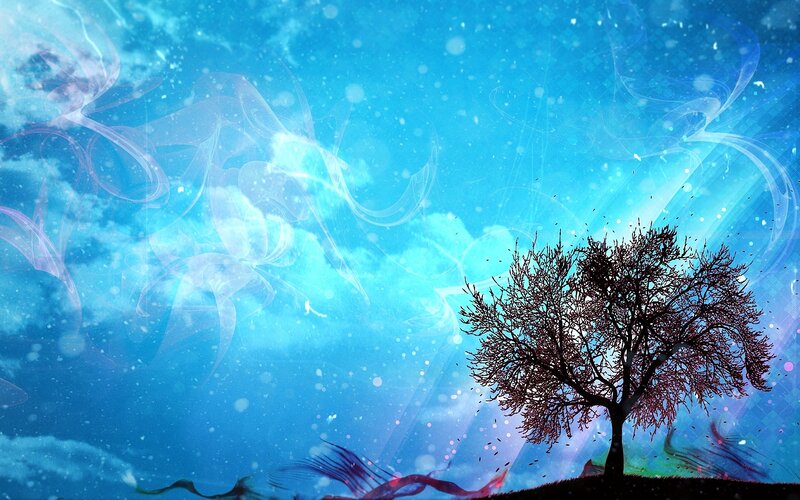blue sky tree silhouette