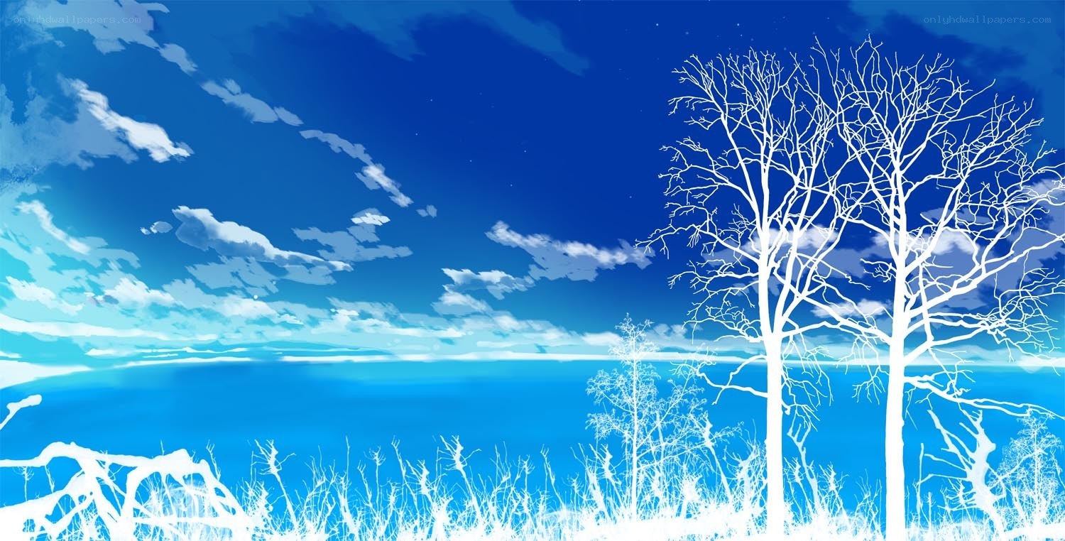 Blue sky with bare trees