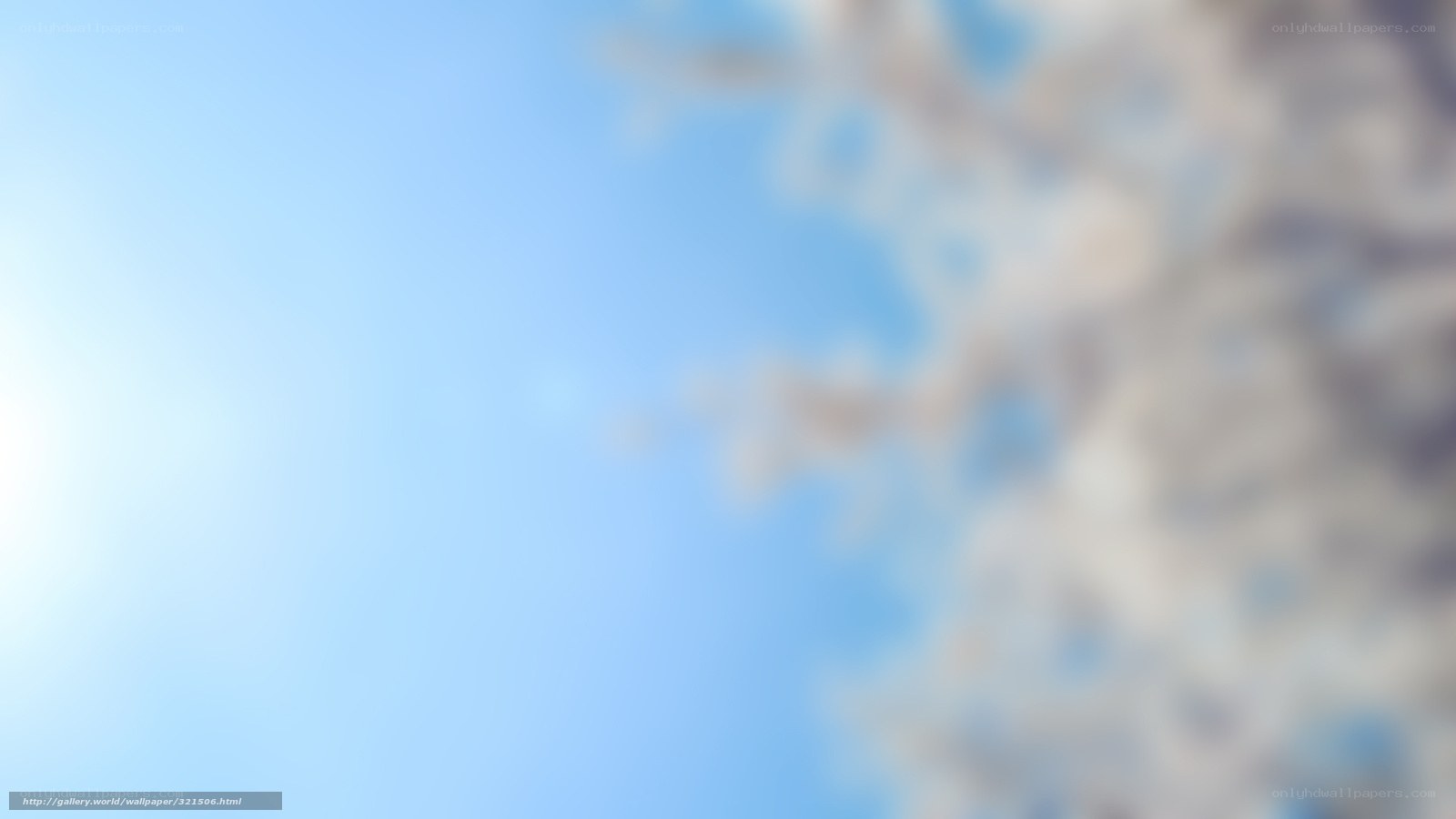 blue sky with blurred branches