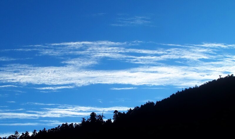 Blue sky with clouds over forest