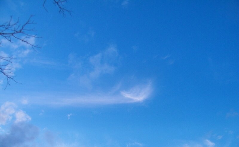 Blue Sky with Clouds — Serene, Afternoon, Photograph, Tree Branches