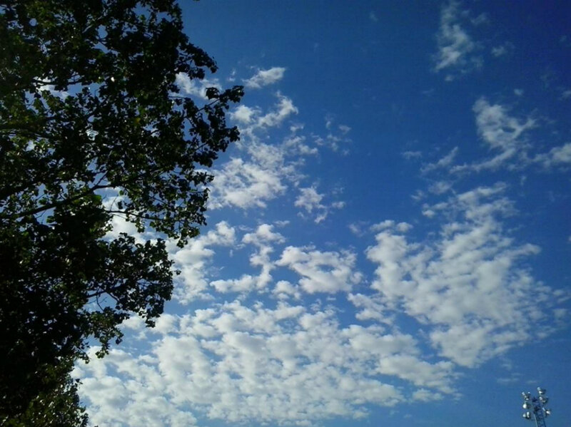 Blue Sky with Clouds — Serene, Afternoon, Photograph, Trees, Light Pole
