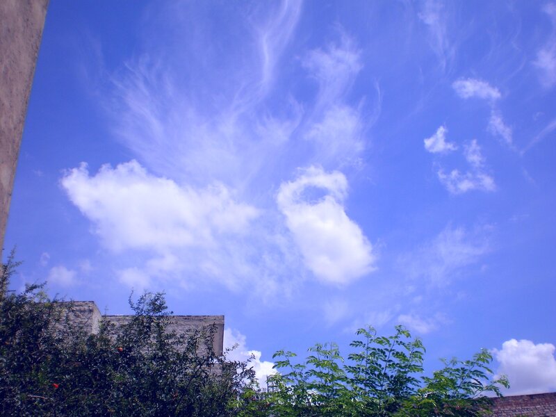 Blue Sky with Clouds — Serene, Afternoon, Photograph, Trees