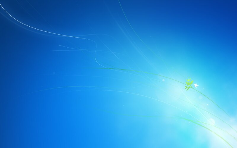 blue sky with green plant