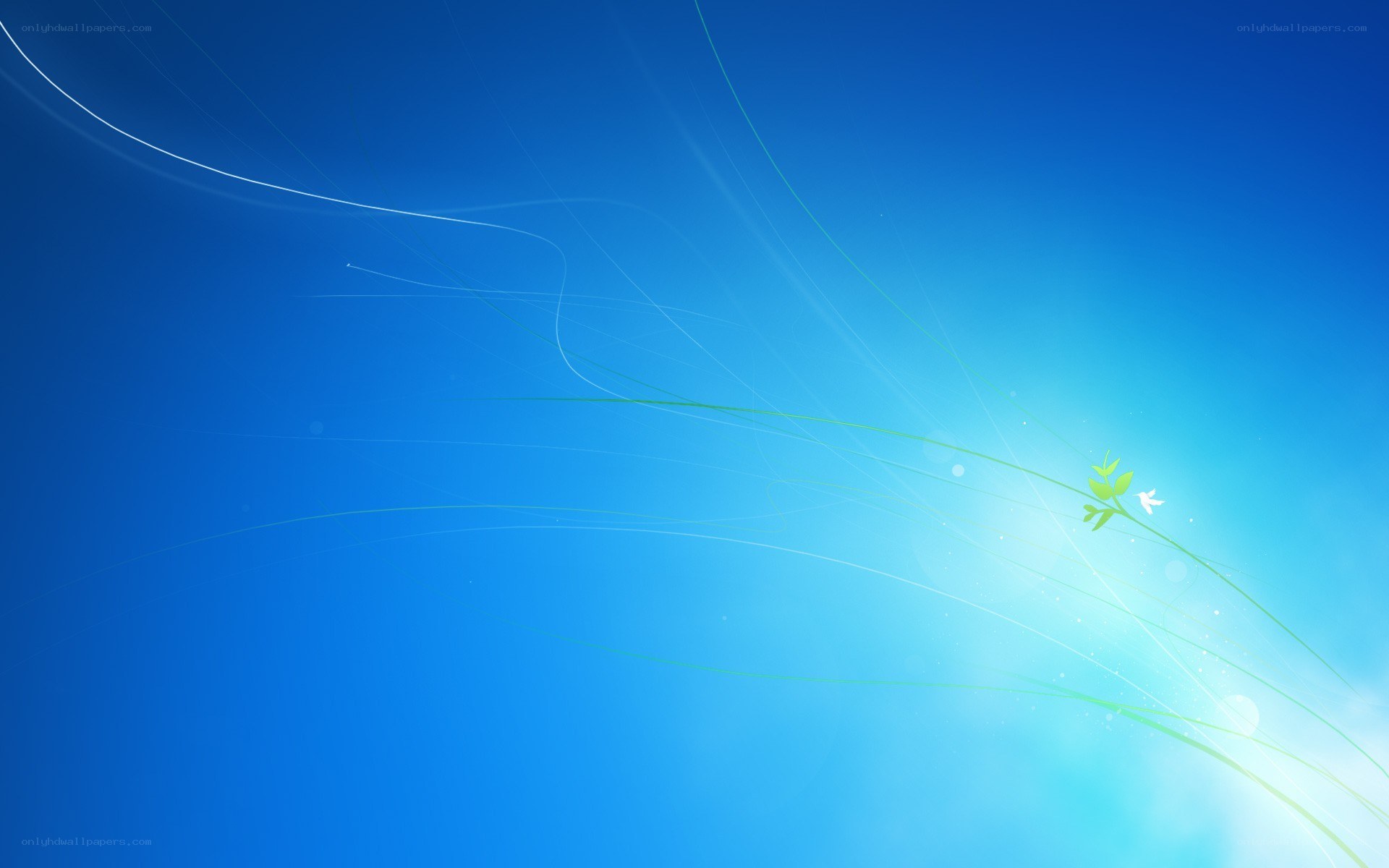 blue sky with green sprout