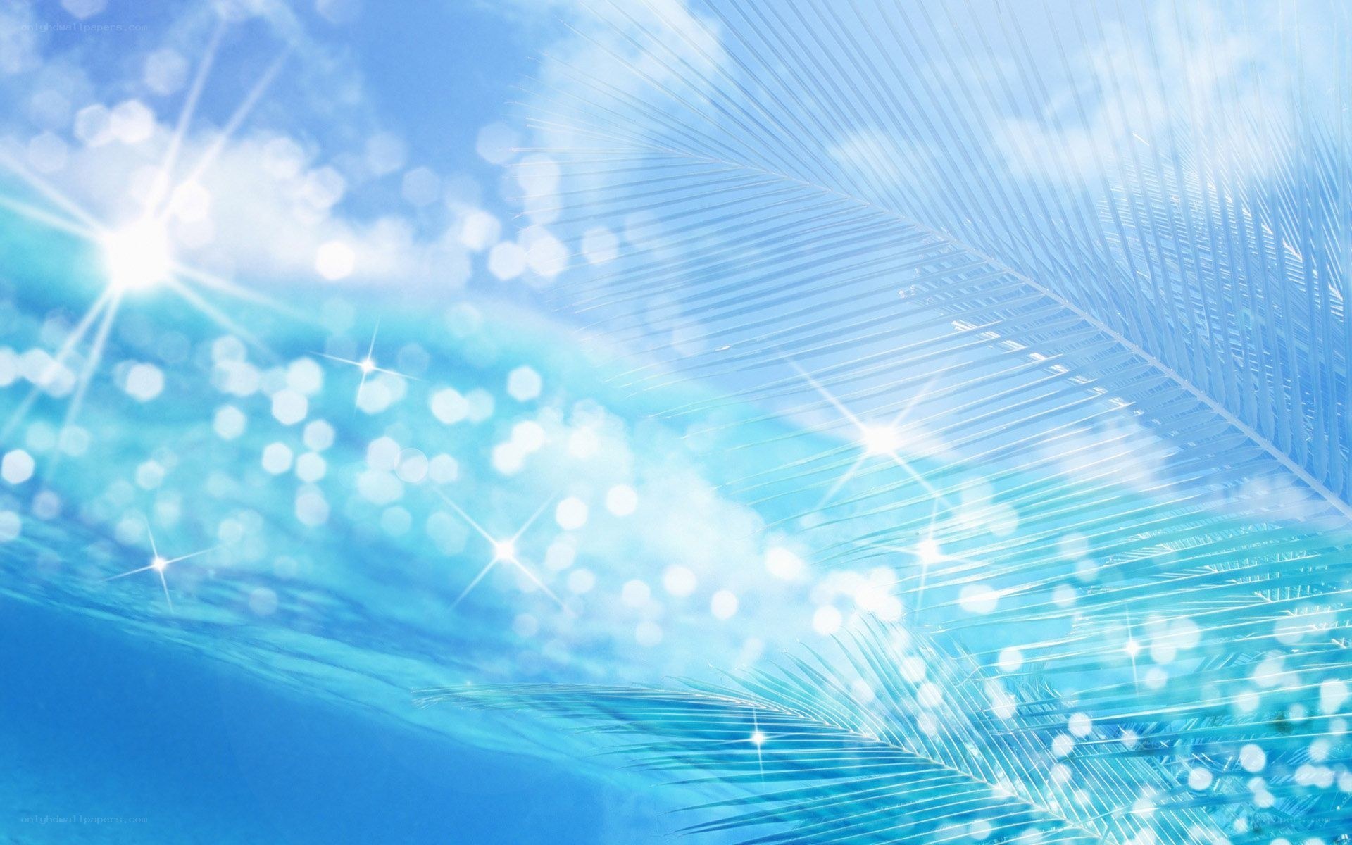 Blue sky with palm leaf