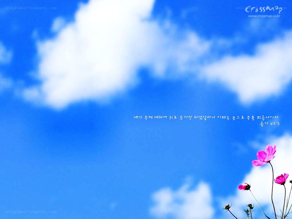 Blue sky with pink flowers