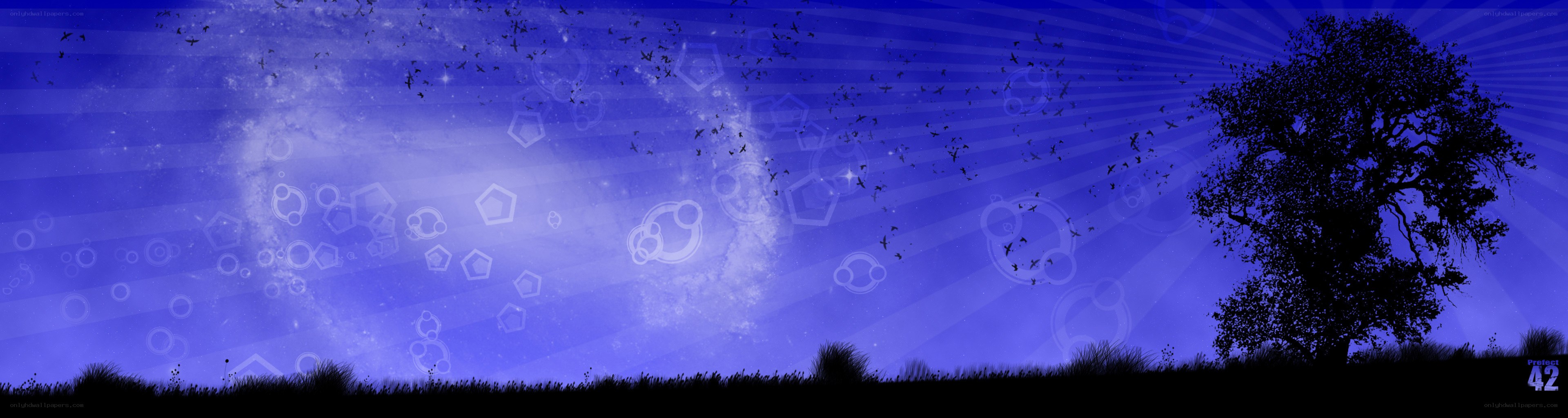 blue sky with tree silhouette