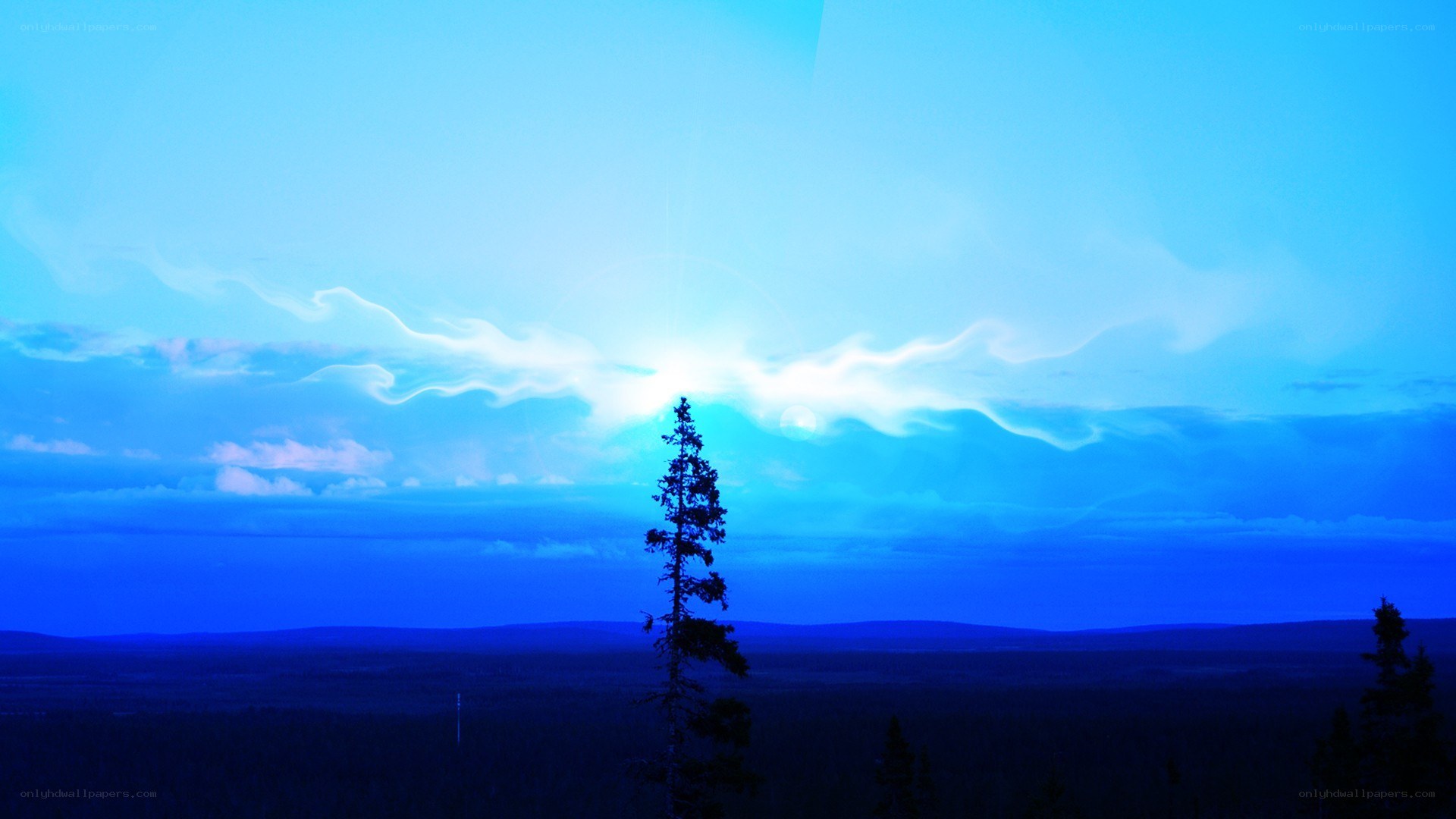 blue sky with tree silhouette