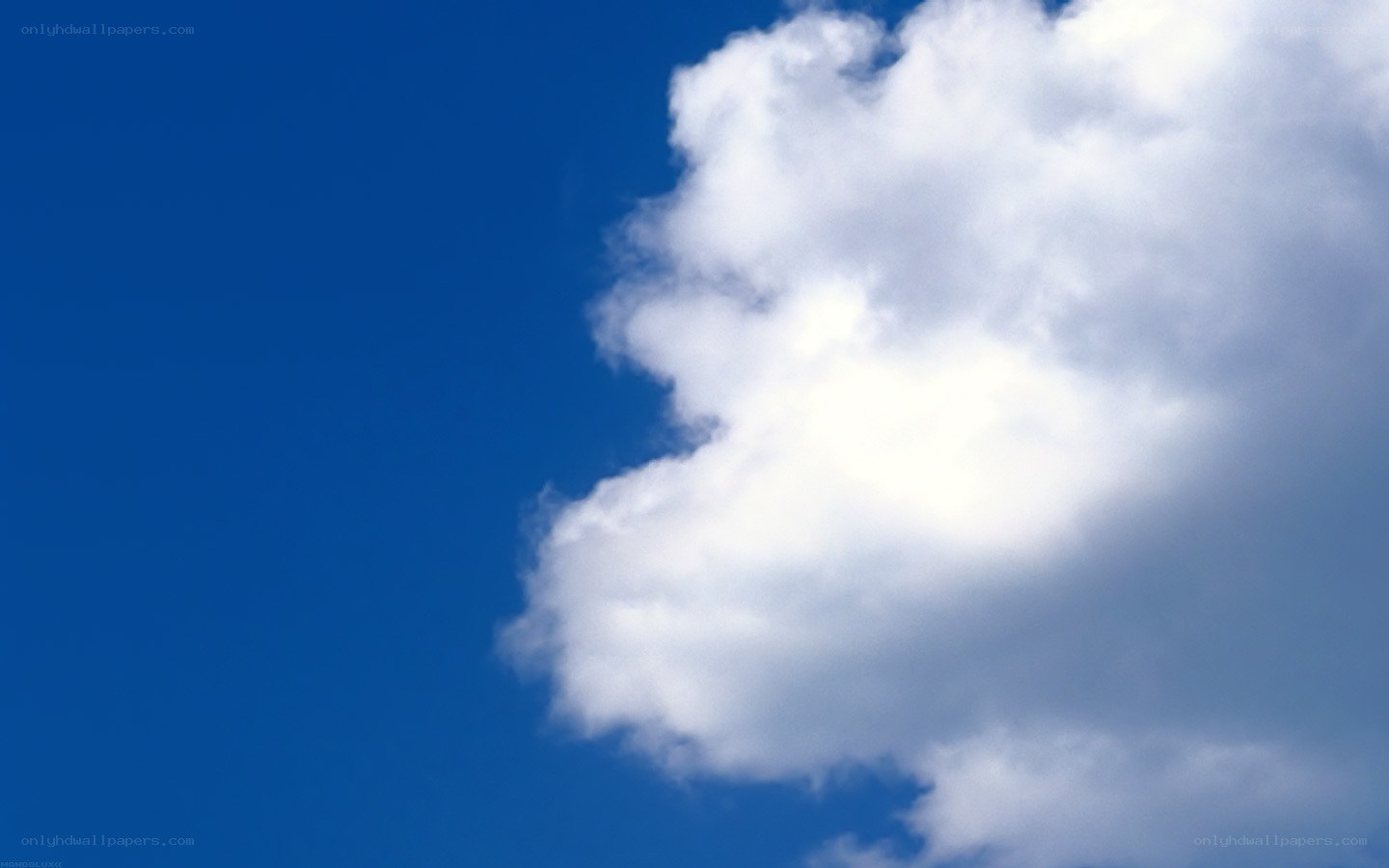 blue sky with white cloud