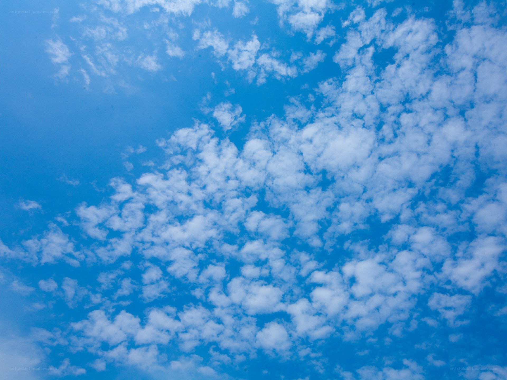 Blue sky with white clouds