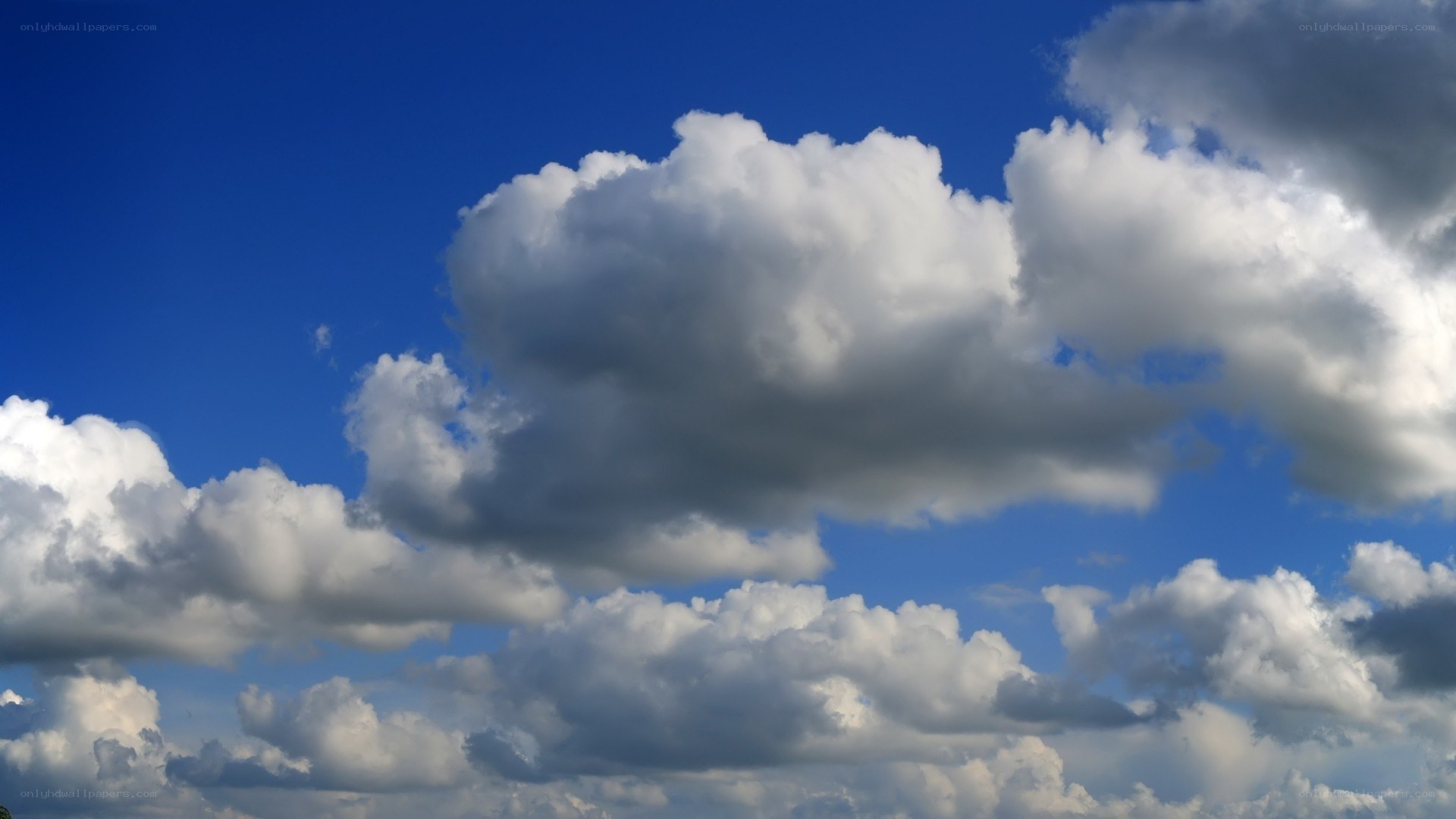 blue sky with white clouds