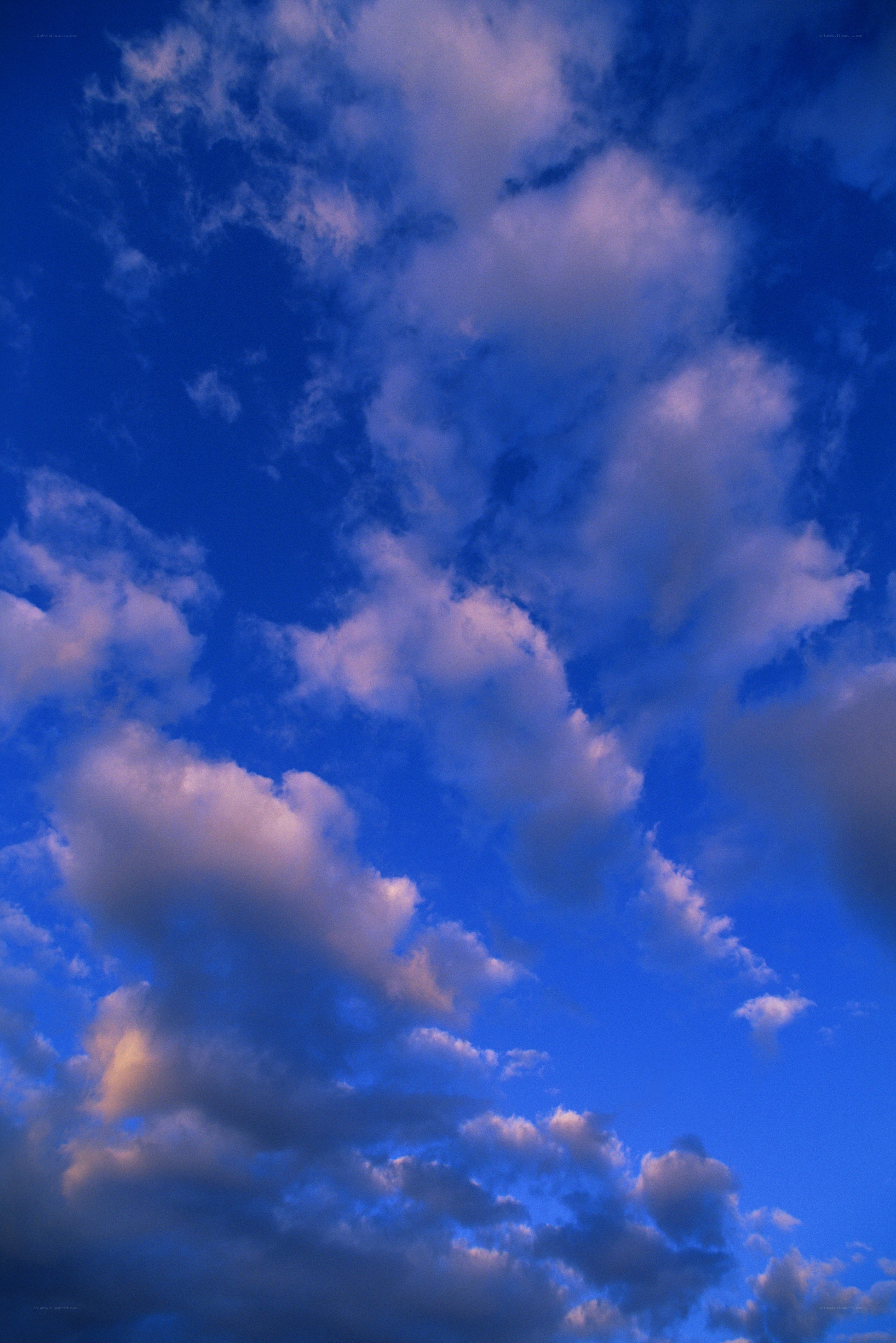 blue sky with white clouds