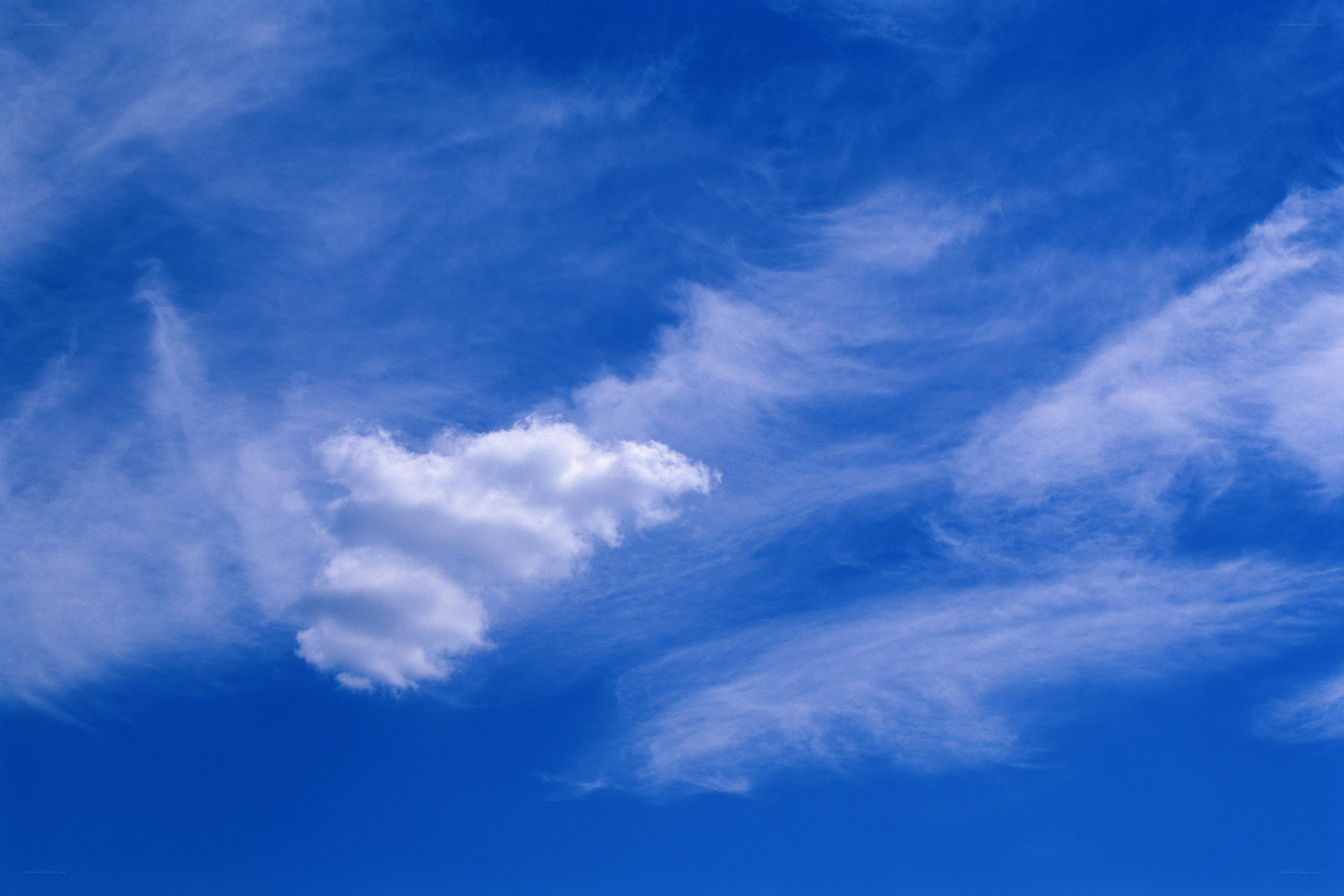 blue sky with white clouds