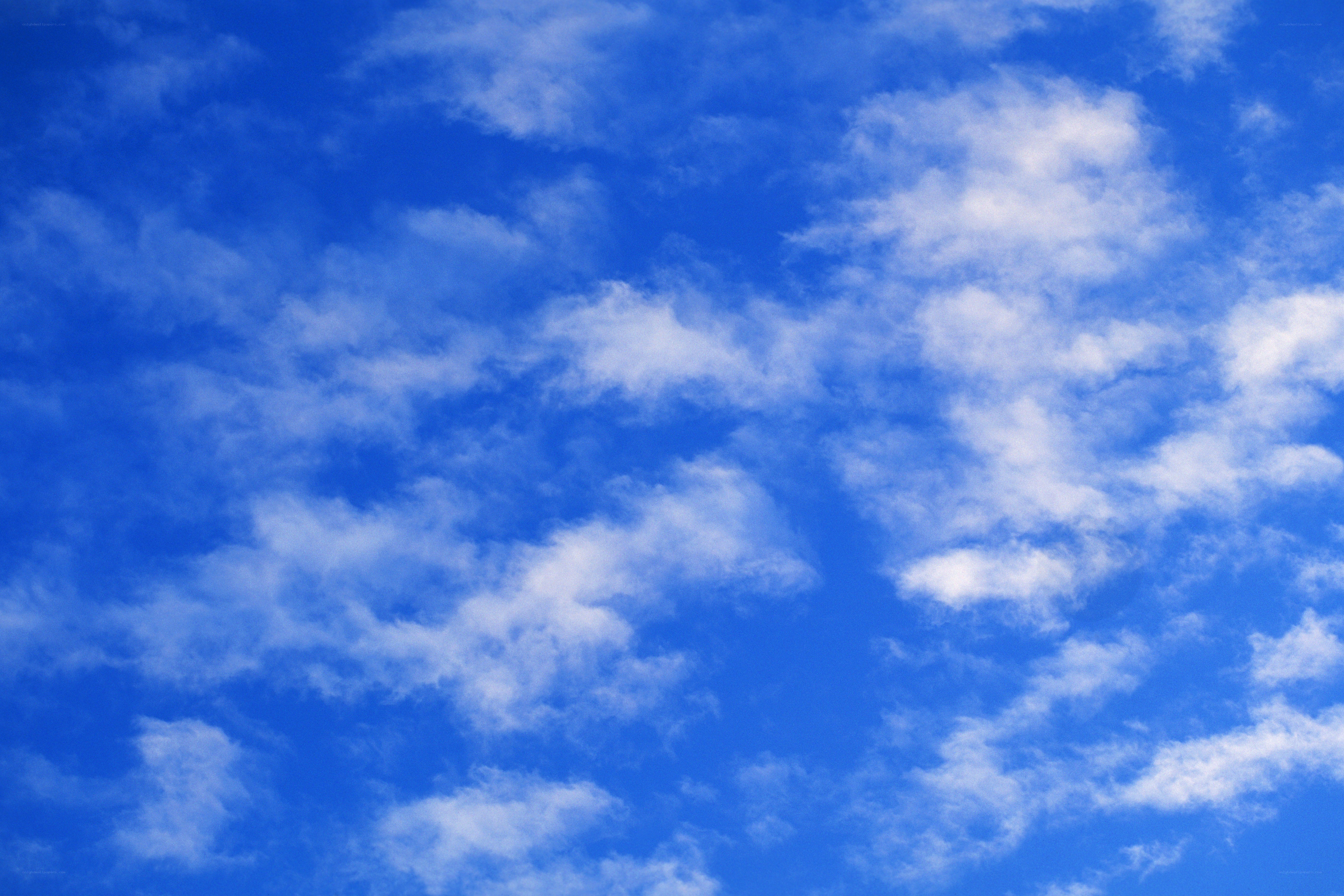 blue sky with white clouds