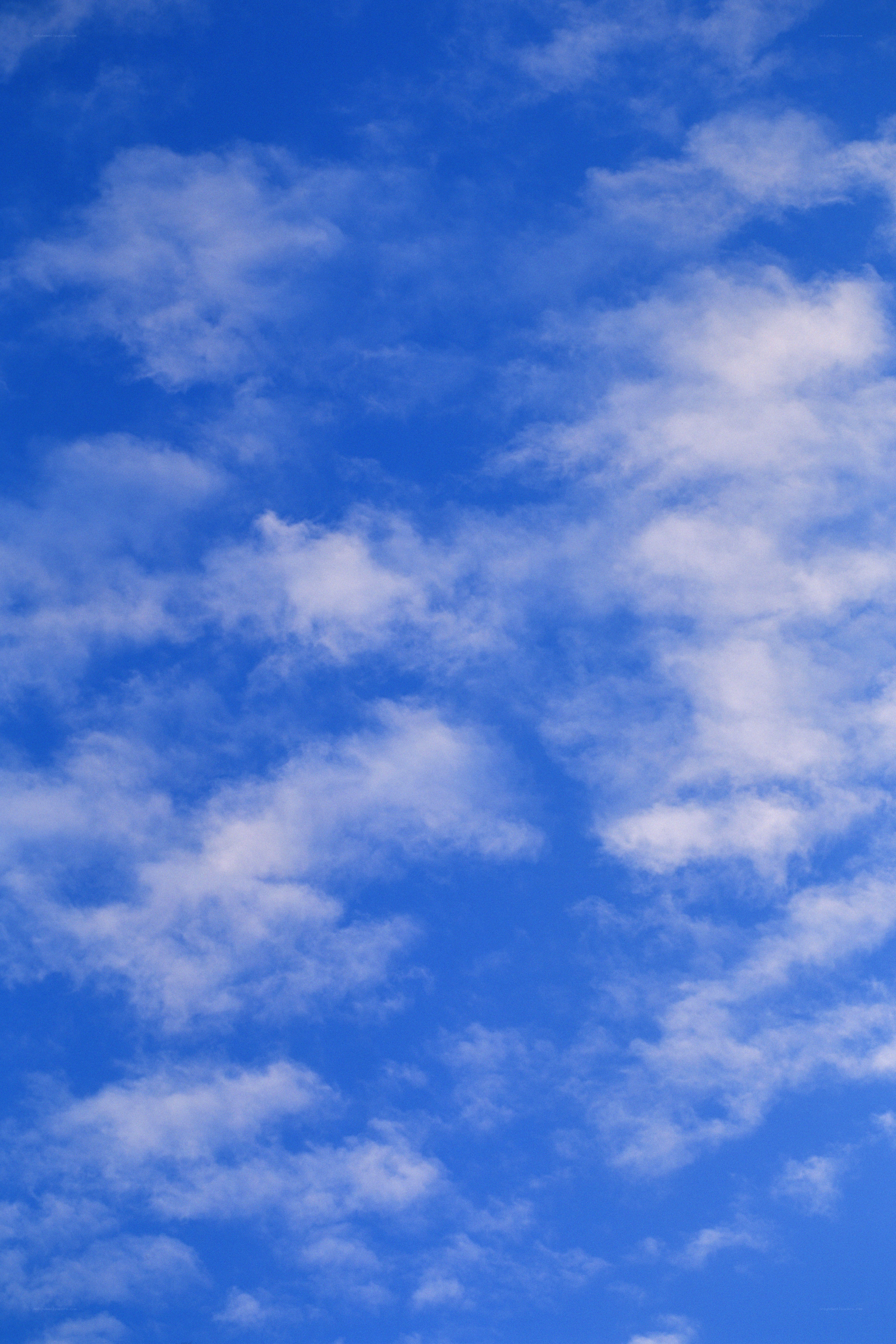 blue sky with white clouds