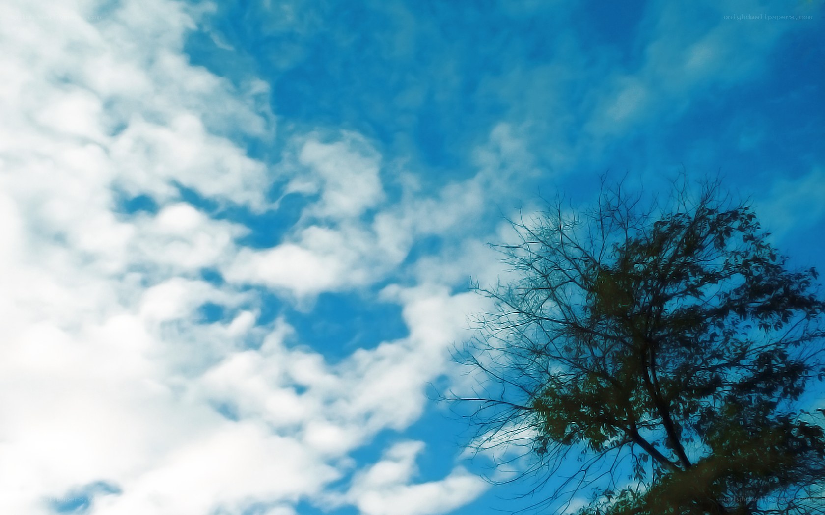 blue sky with white clouds