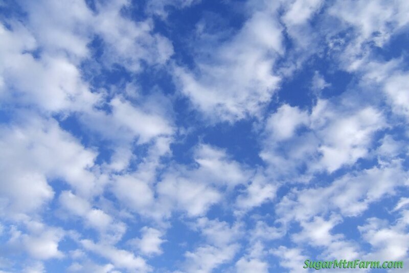 Blue sky with white clouds