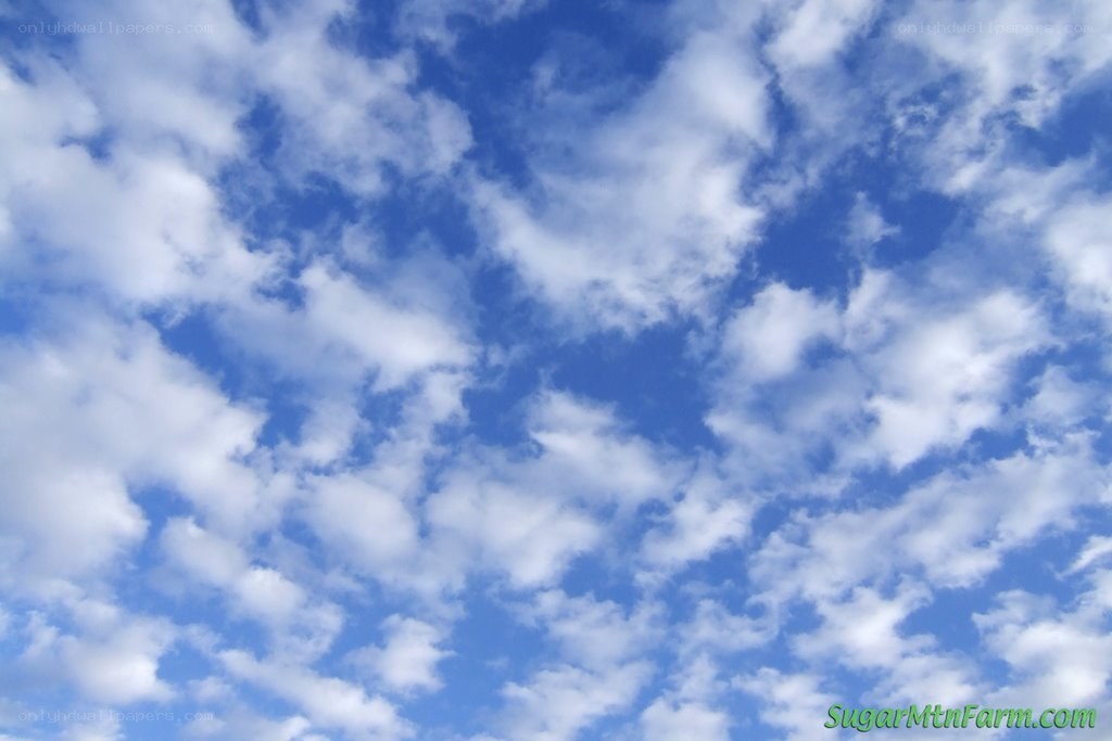 Blue sky with white clouds