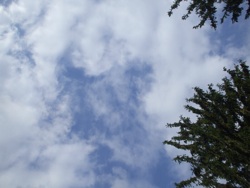 blue sky with white clouds