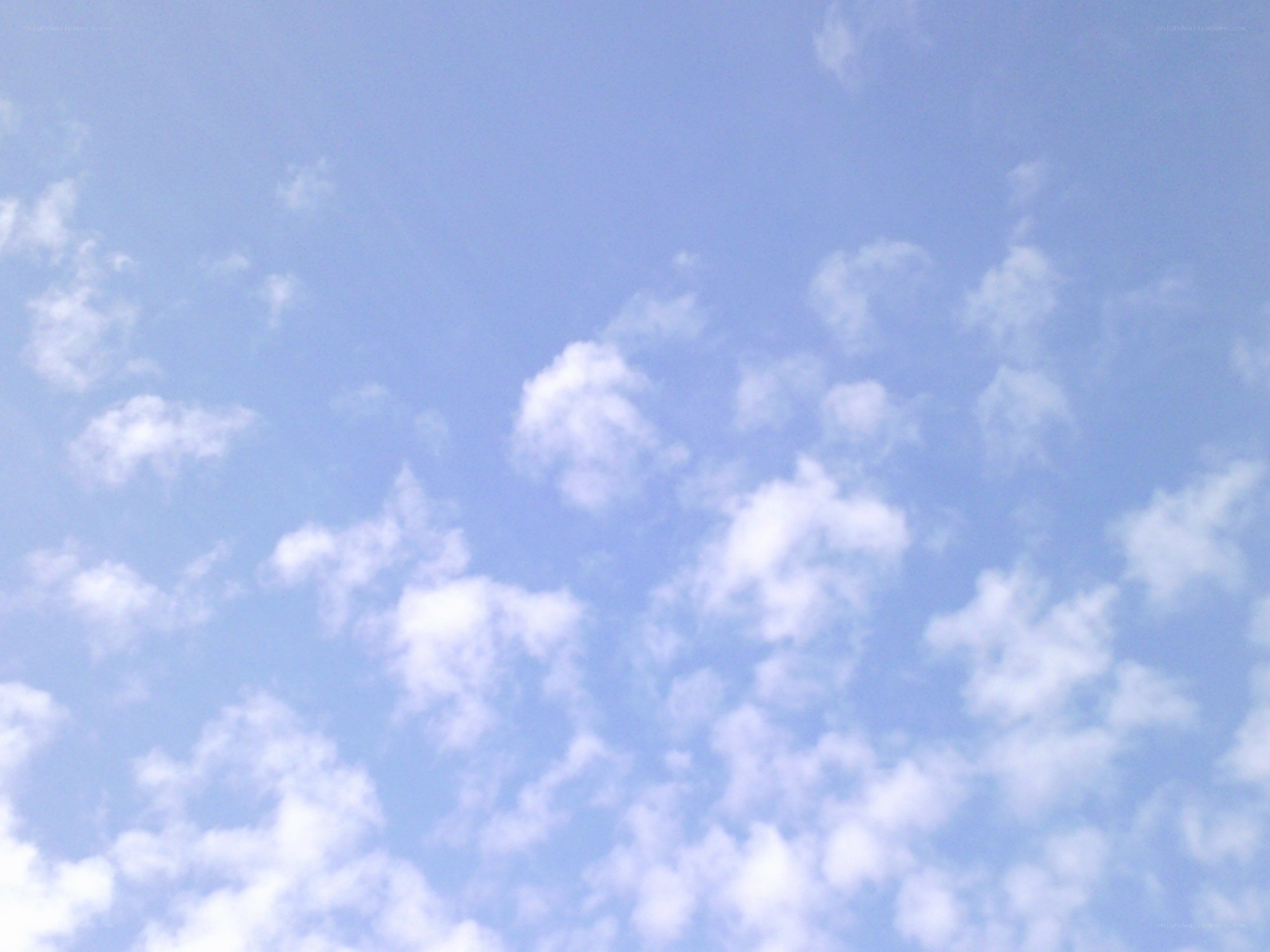 blue sky with white clouds