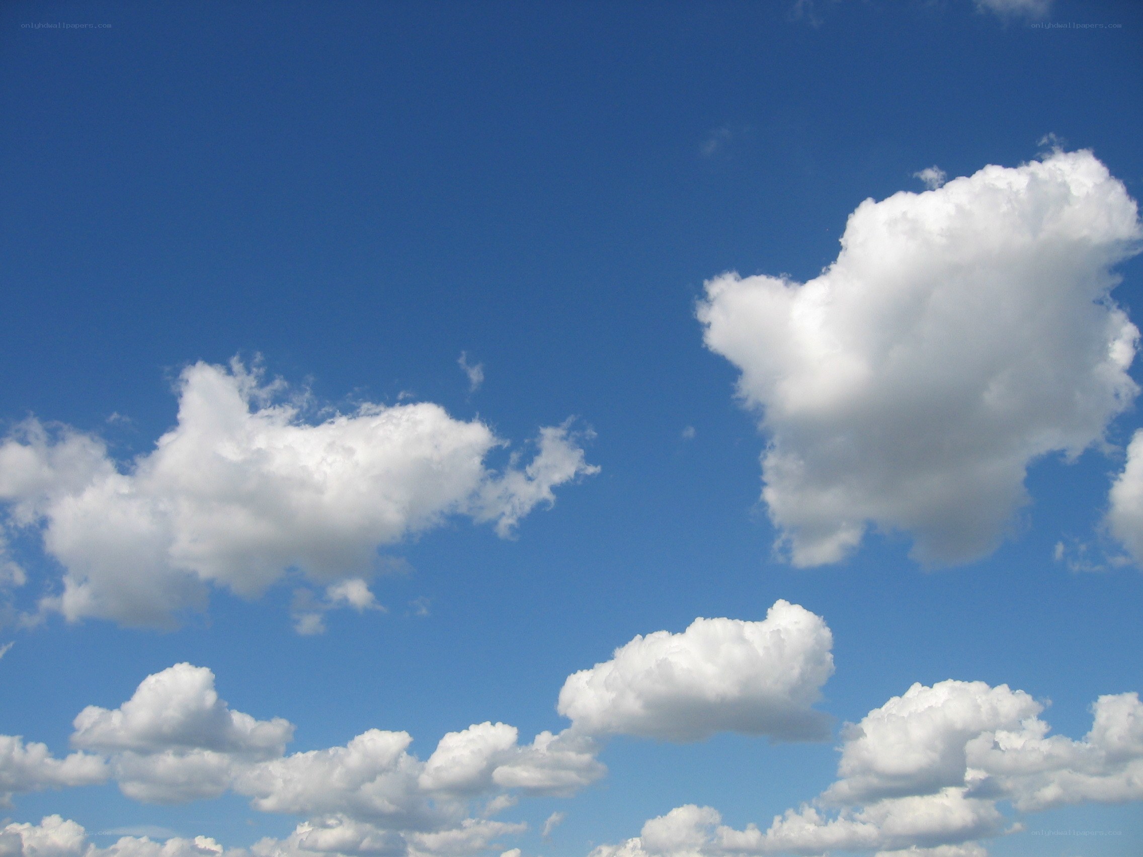 blue sky with white clouds