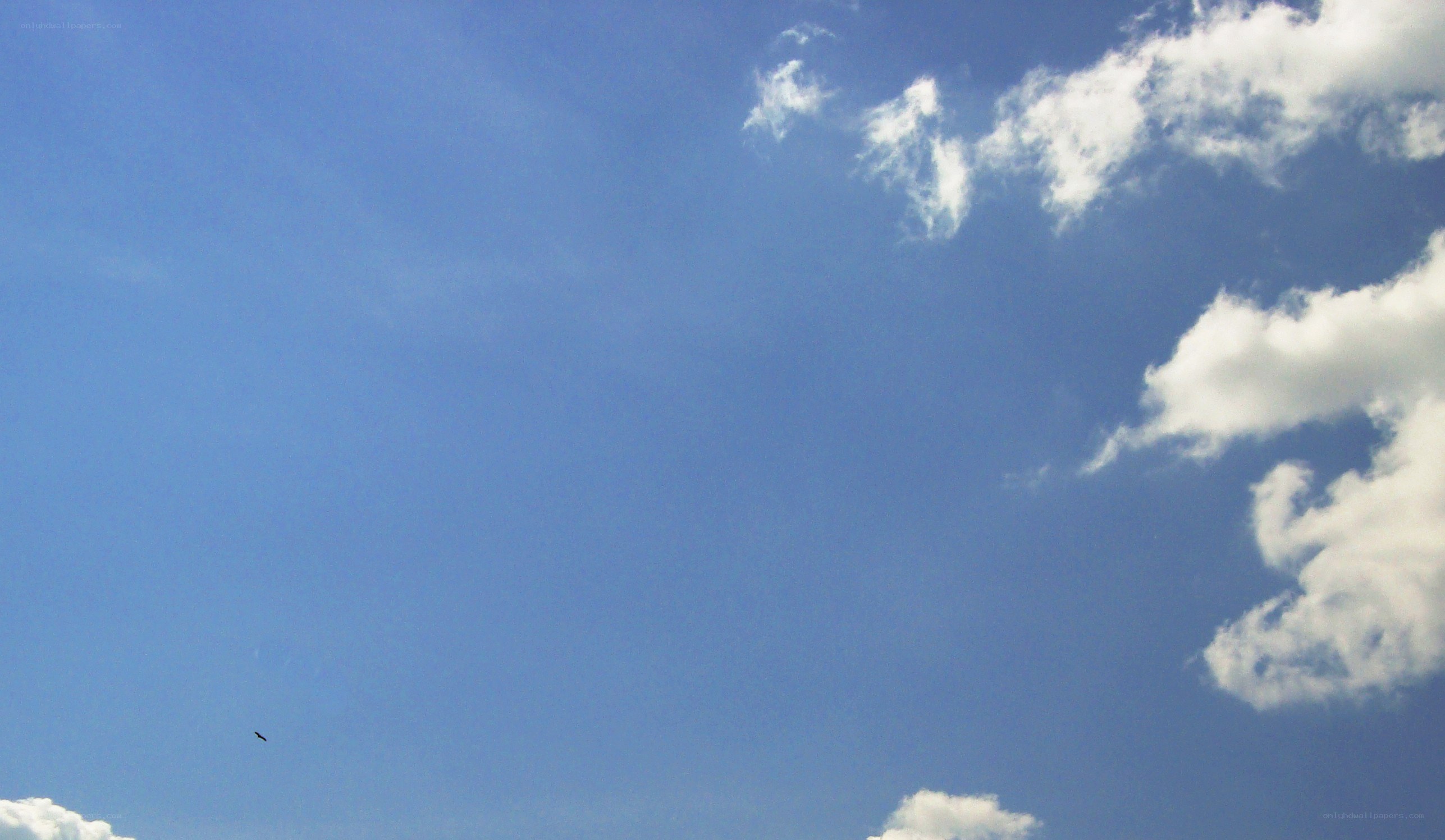 blue sky with white clouds