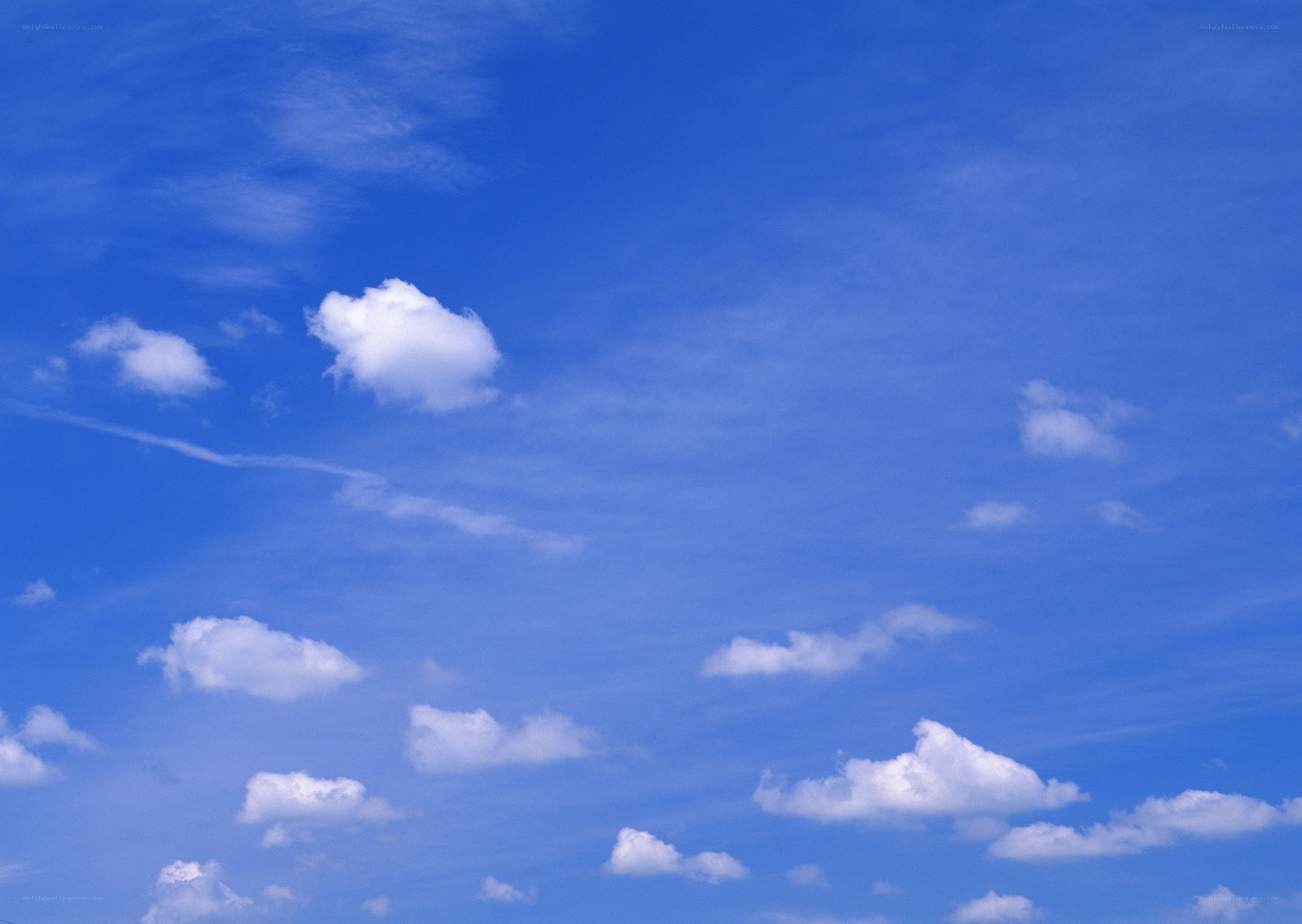blue sky with white clouds