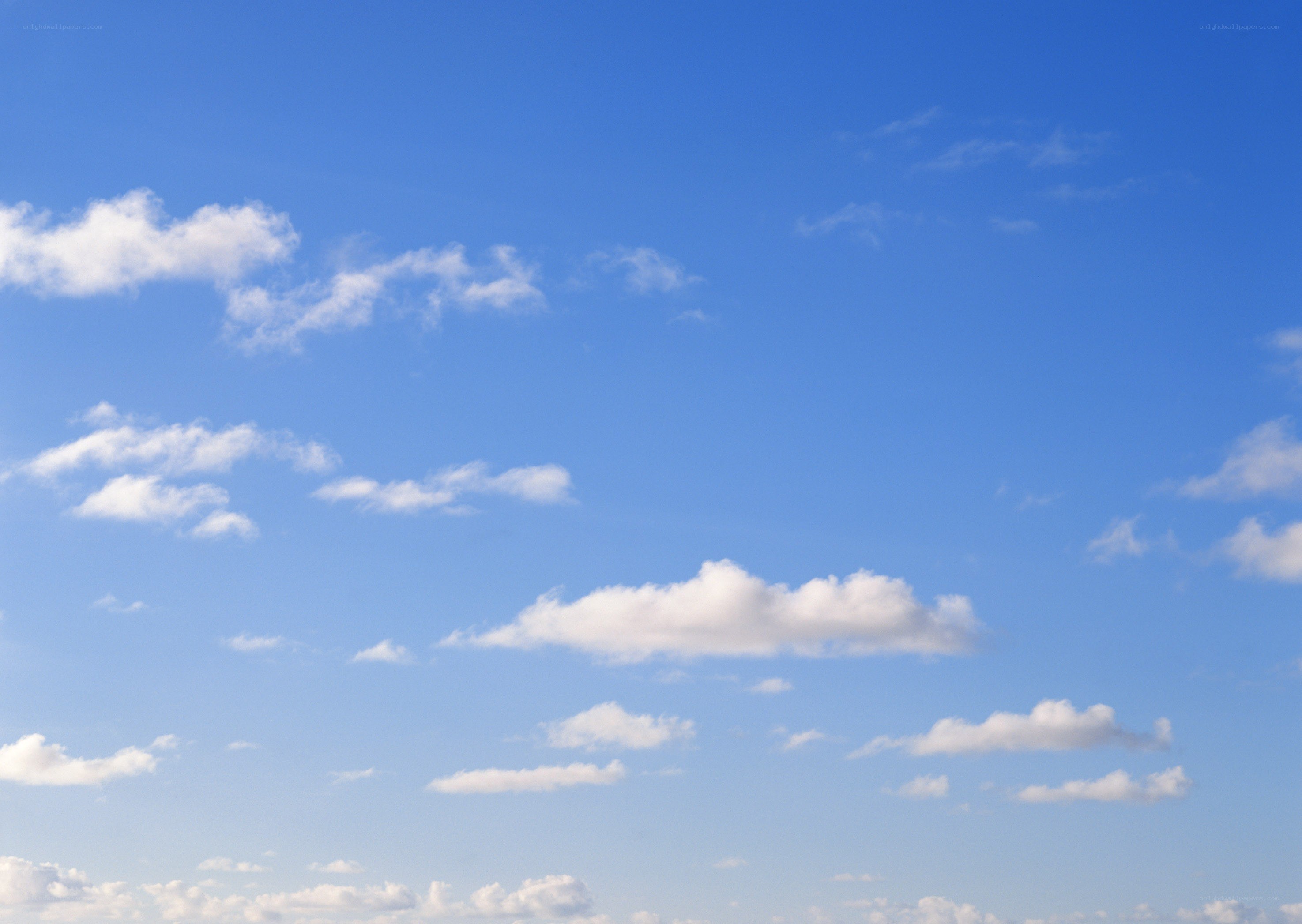blue sky with white clouds