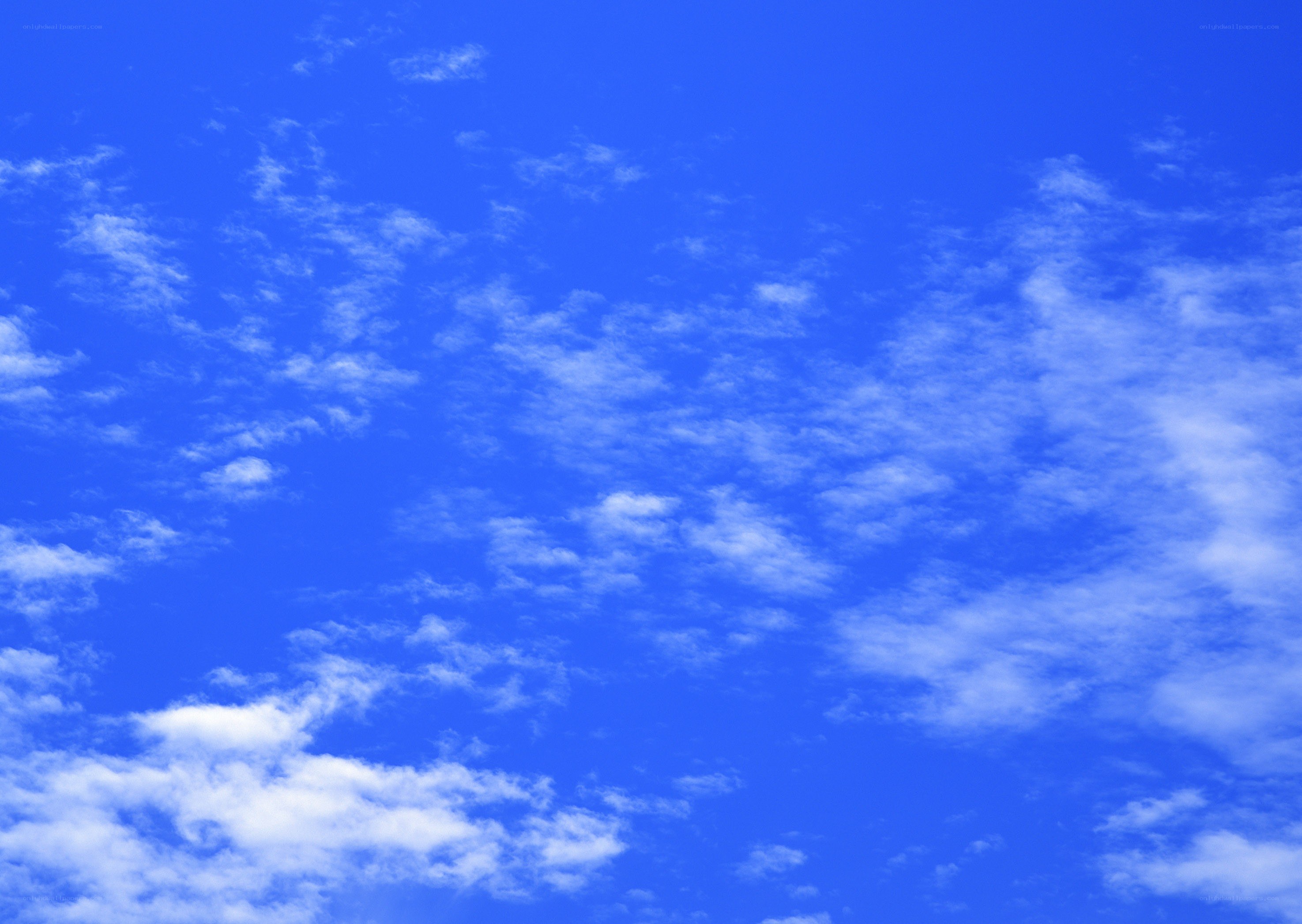 blue sky with white clouds