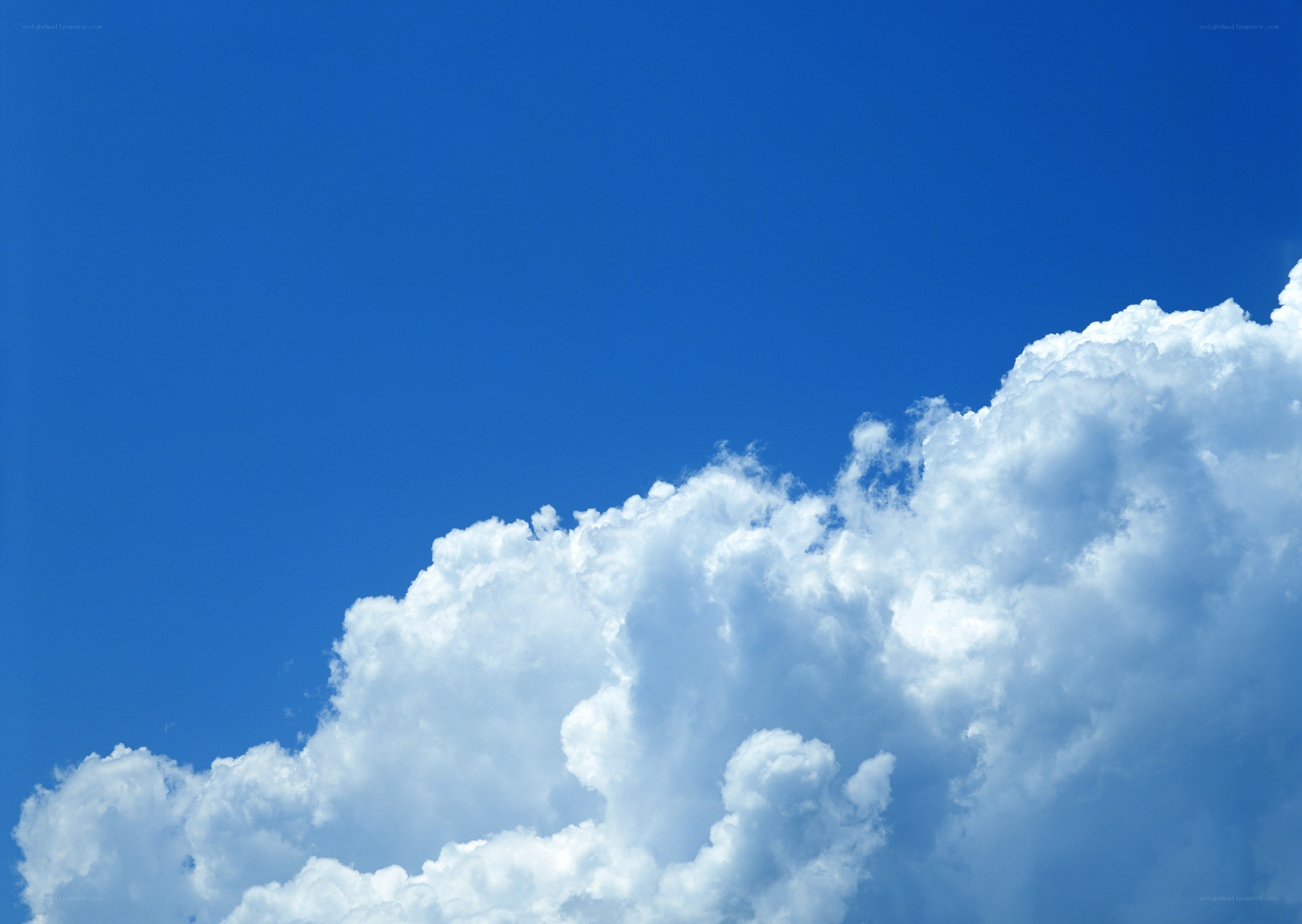 blue sky with white clouds