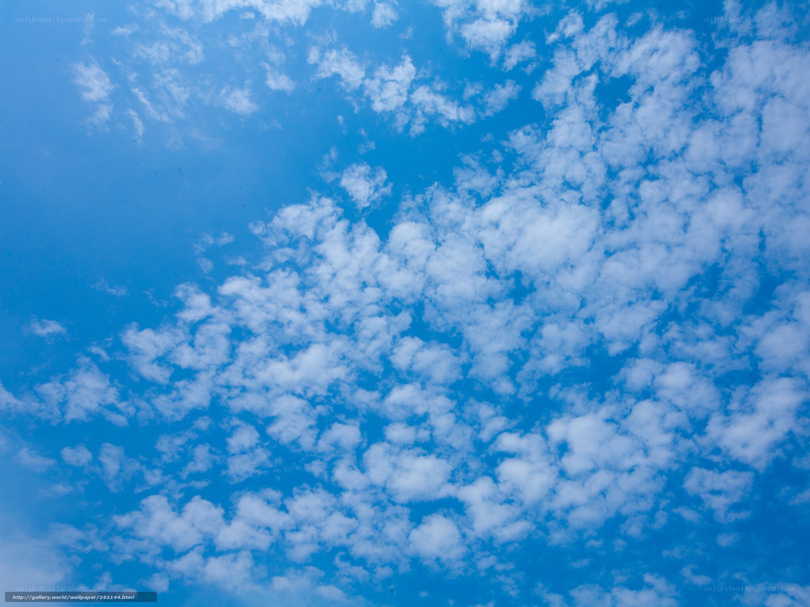 blue sky with white clouds