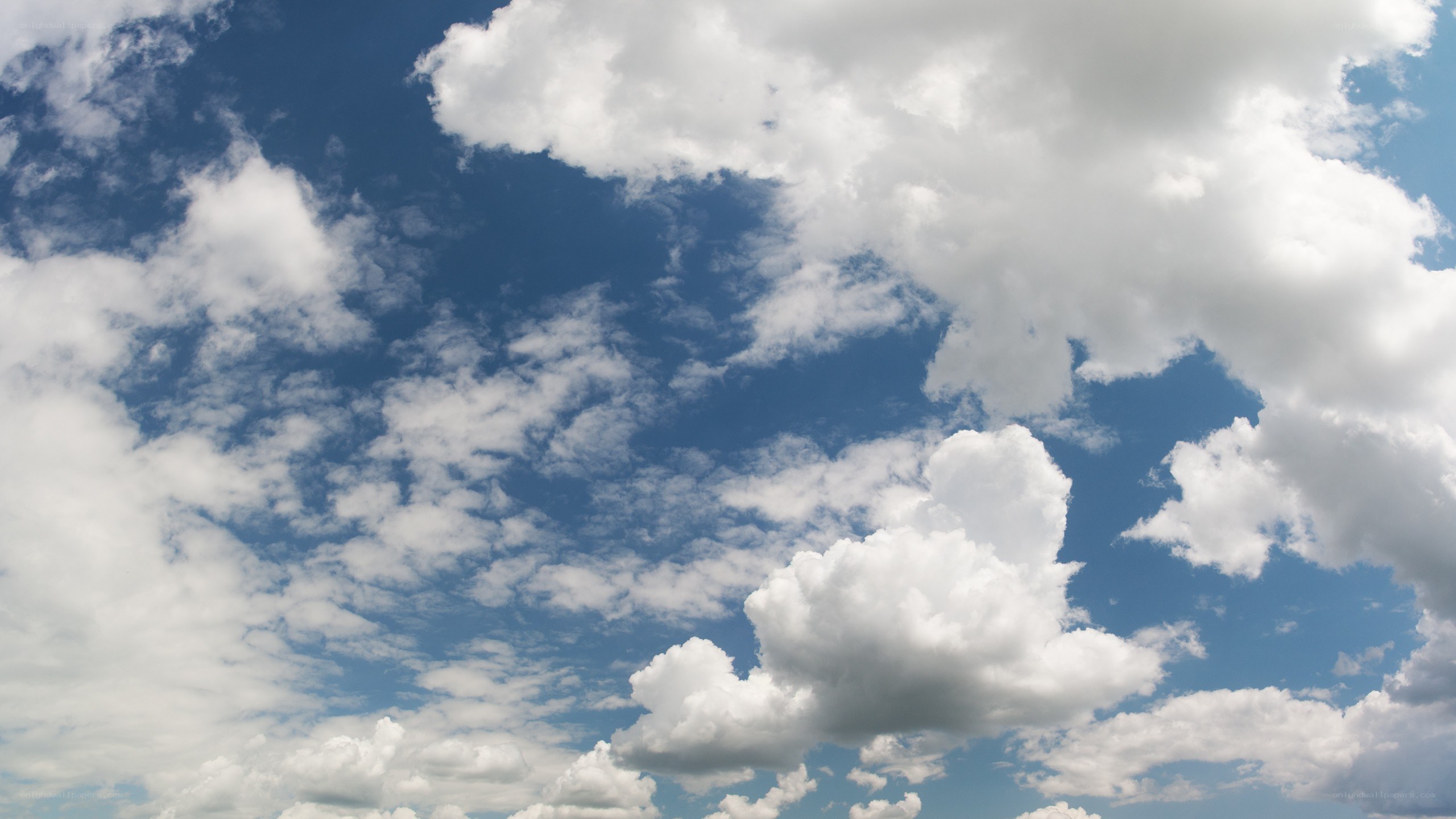 blue sky with white clouds