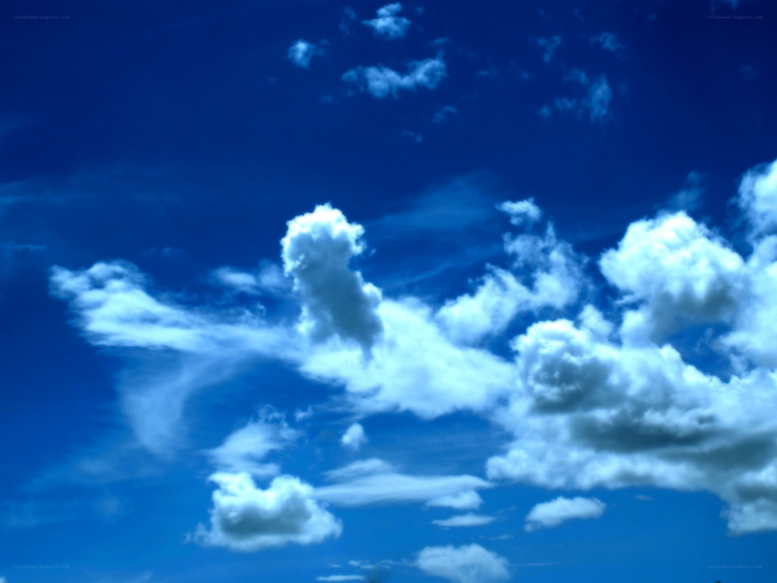 blue sky with white clouds
