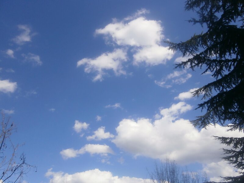 blue sky with white clouds