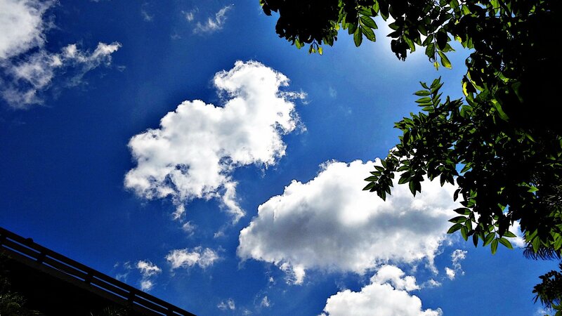 blue sky with white clouds
