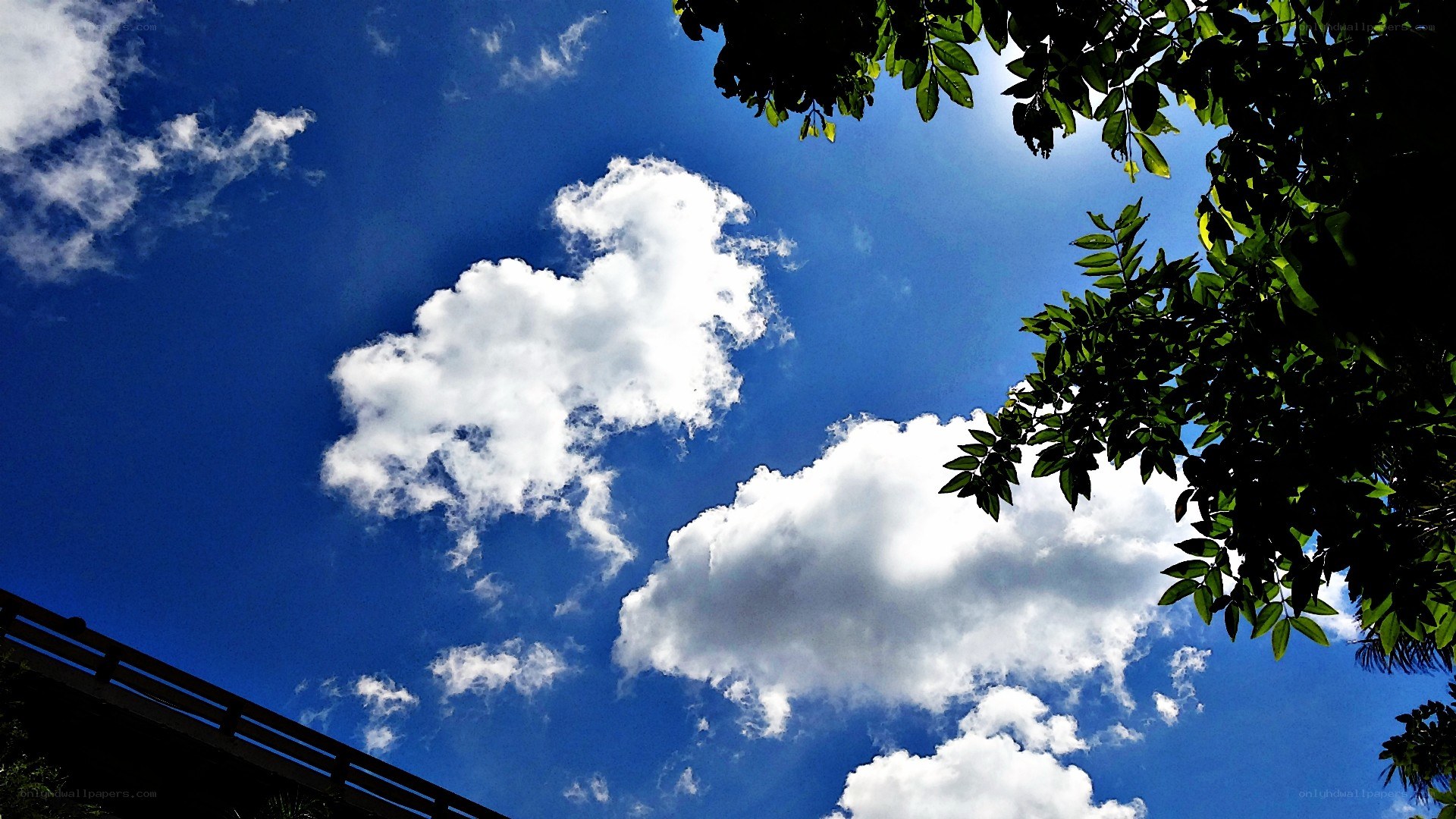 blue sky with white clouds