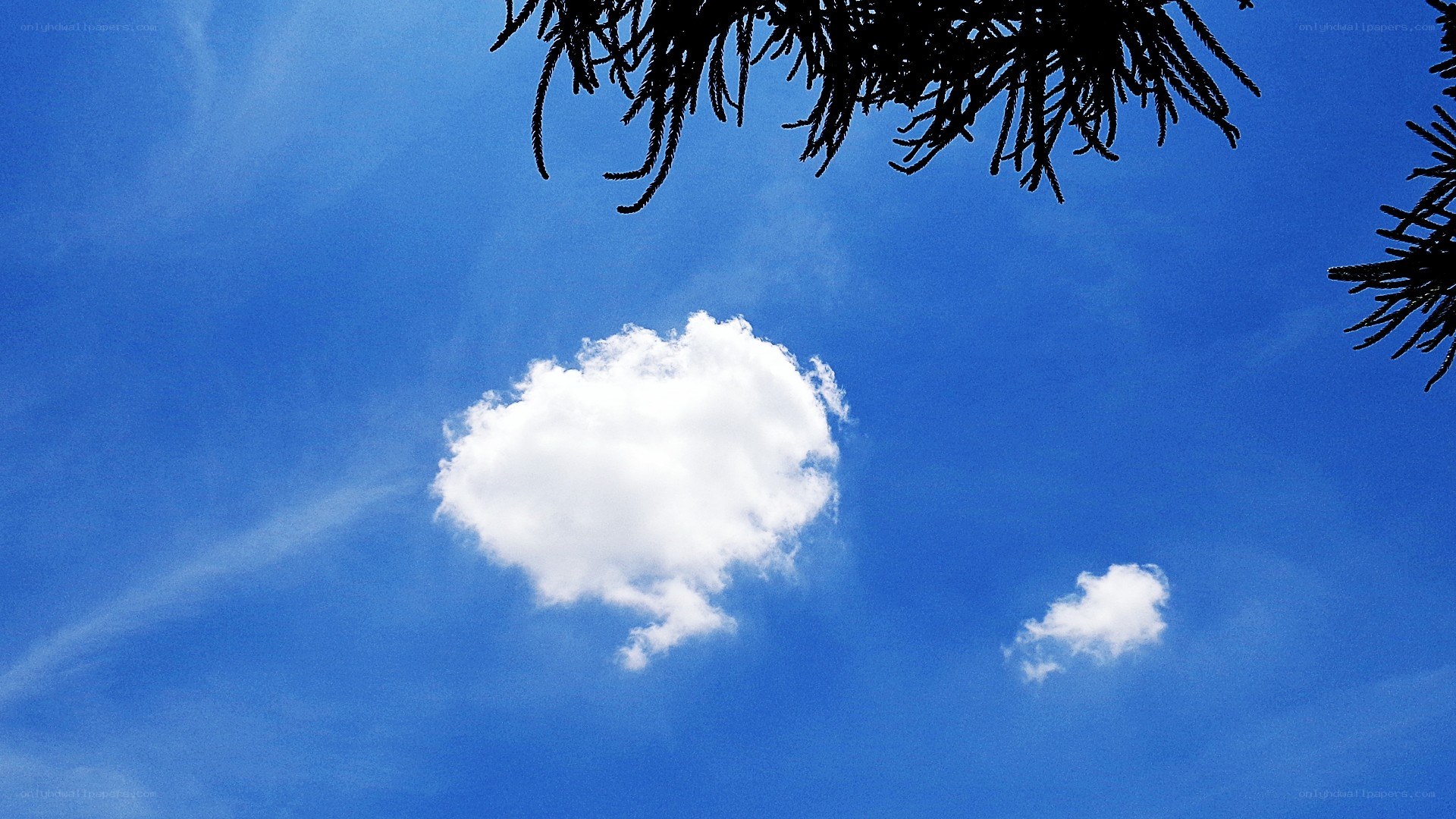 blue sky with white clouds