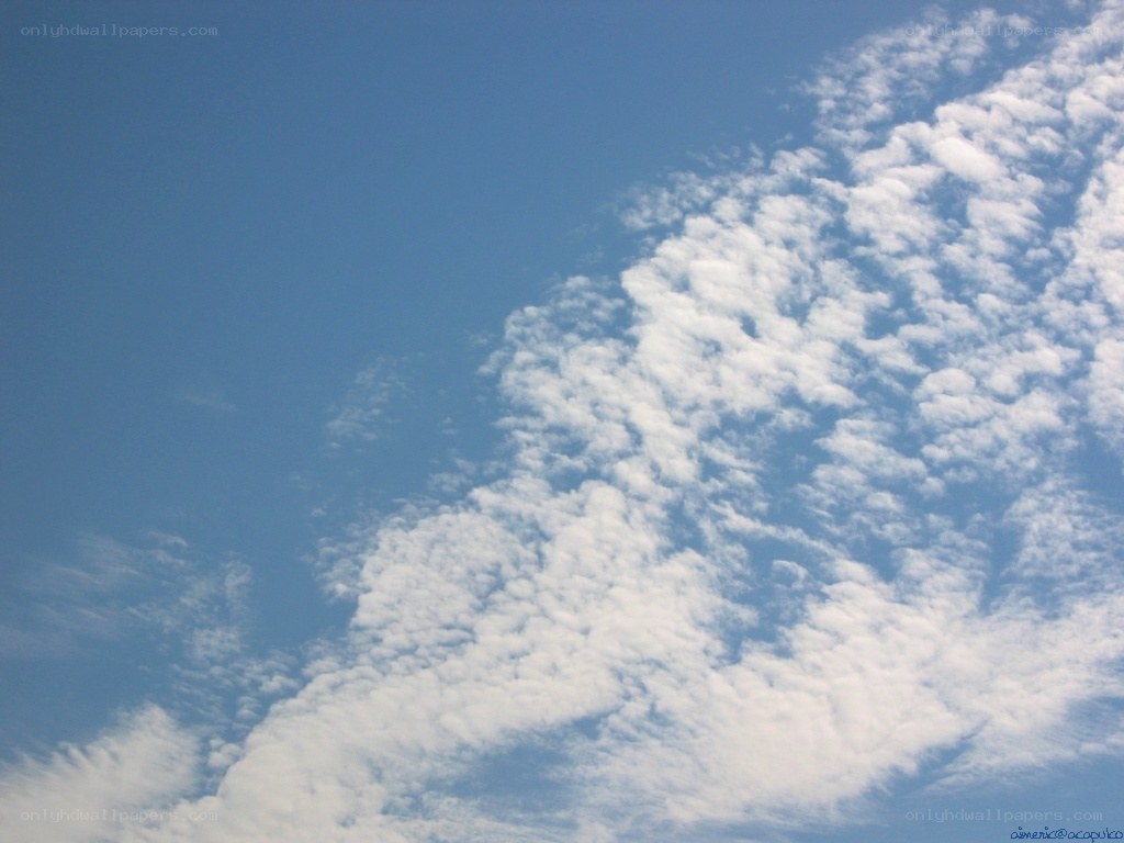 blue sky with white clouds