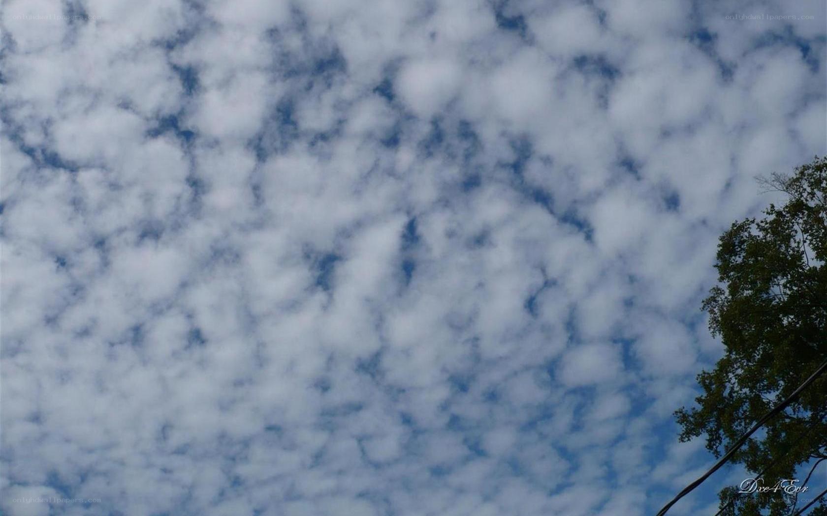 blue sky with white clouds