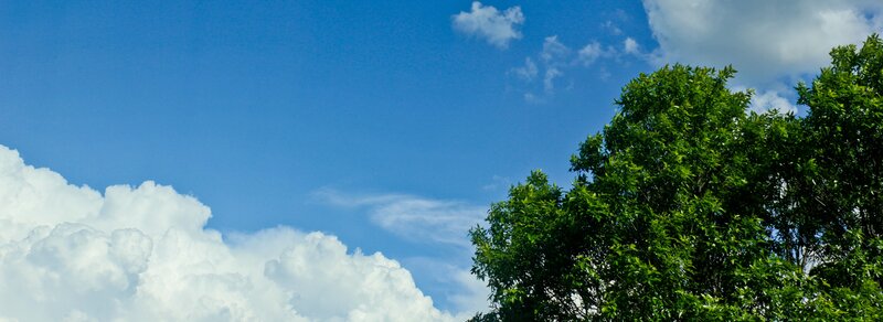 Blue sky with white clouds and green trees